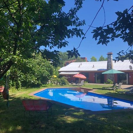 Alma Nativa Hostel Pucón Kültér fotó