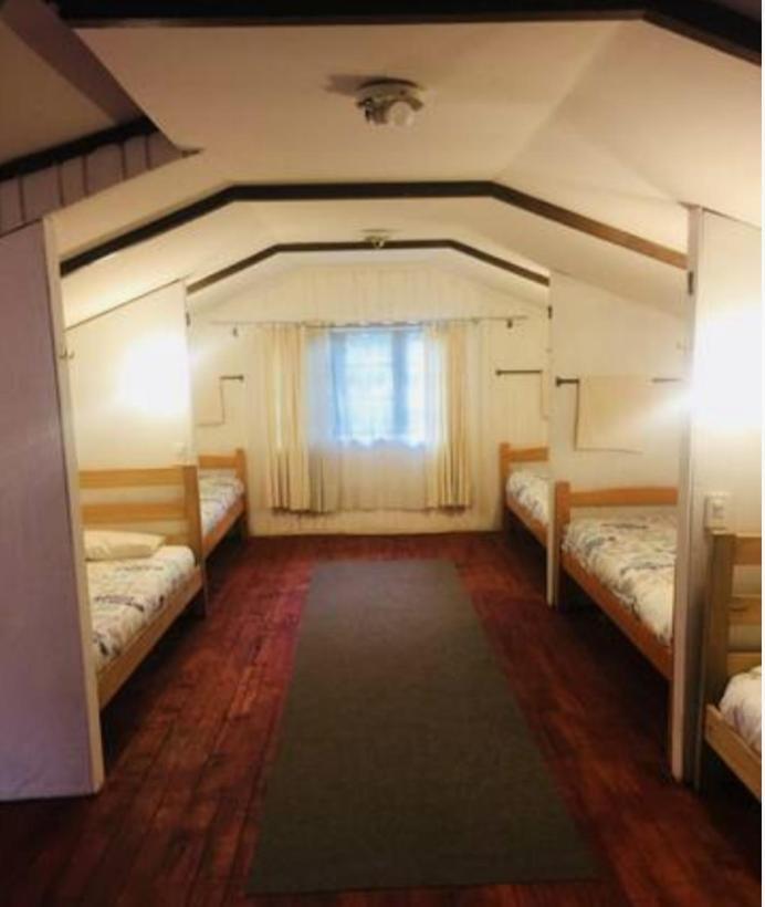 Alma Nativa Hostel Pucón Kültér fotó
