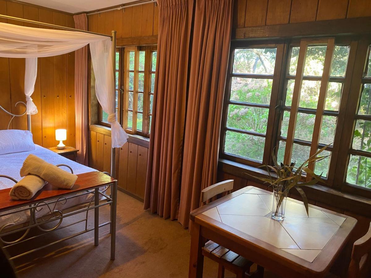 Alma Nativa Hostel Pucón Kültér fotó