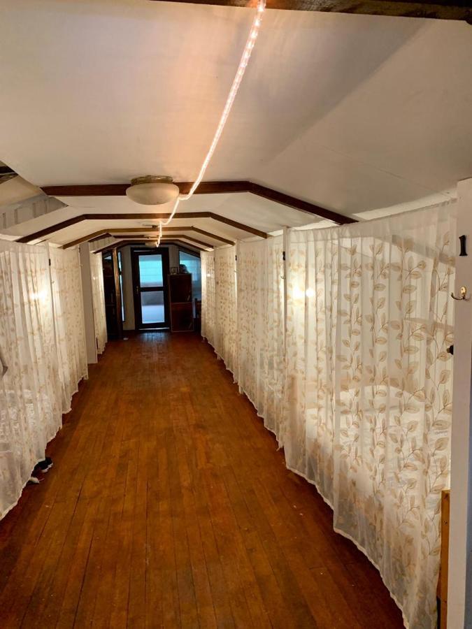 Alma Nativa Hostel Pucón Kültér fotó