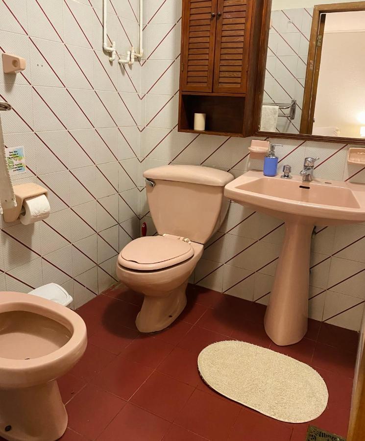 Alma Nativa Hostel Pucón Kültér fotó