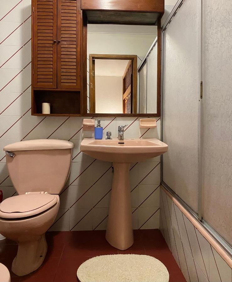Alma Nativa Hostel Pucón Kültér fotó