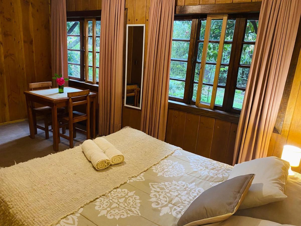 Alma Nativa Hostel Pucón Kültér fotó