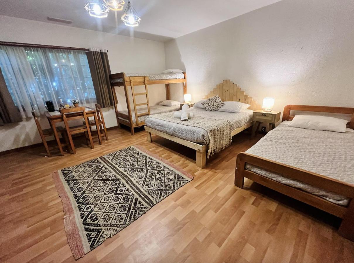 Alma Nativa Hostel Pucón Kültér fotó