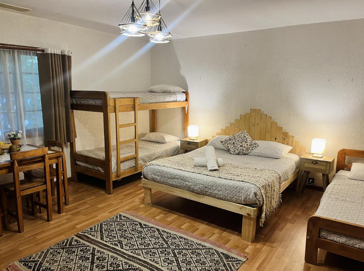 Alma Nativa Hostel Pucón Kültér fotó